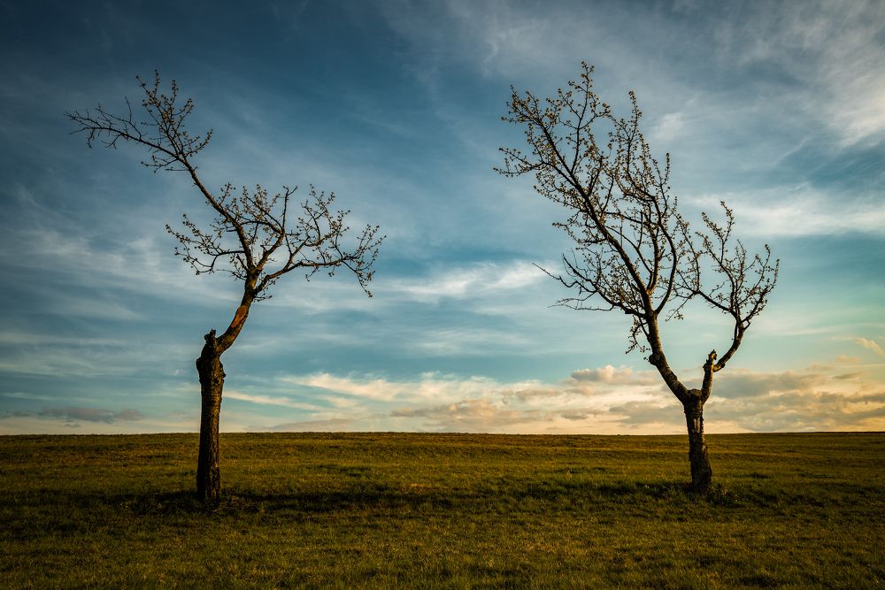 Photograph by Олег Нестеров