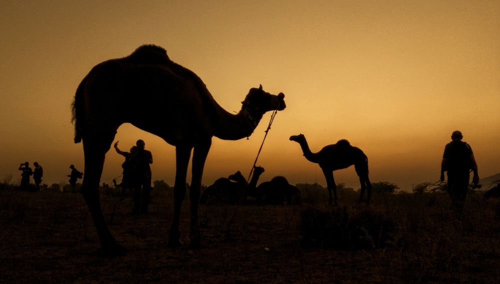 Photograph by rajat dawn