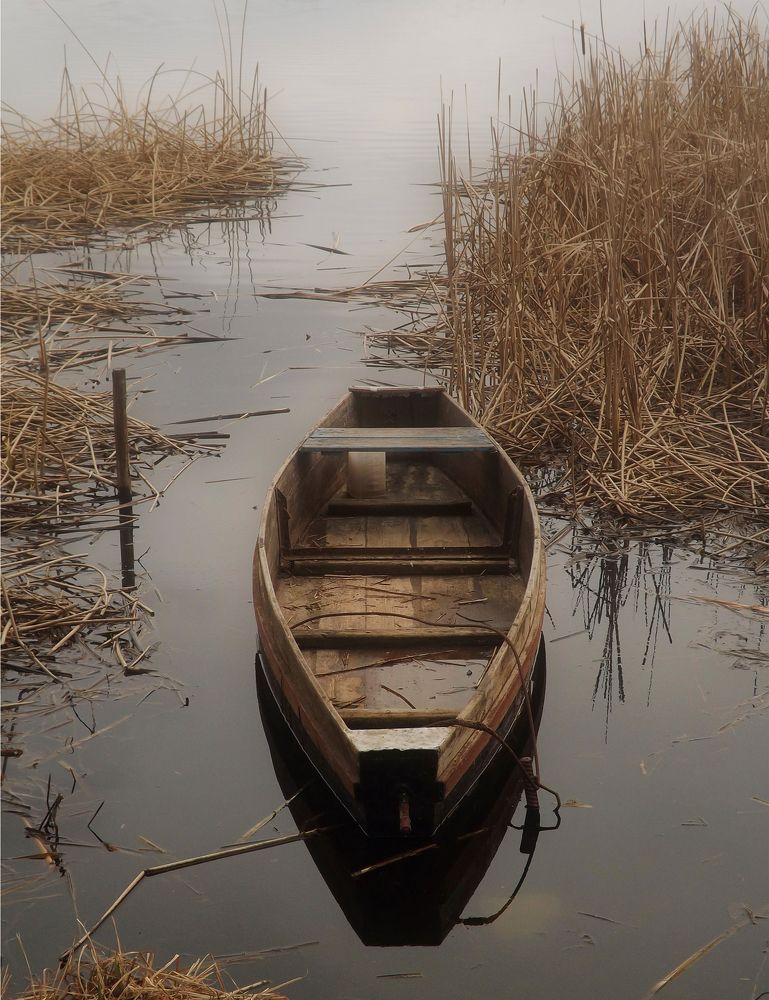 Photograph by Янина Черпухина-Андреева