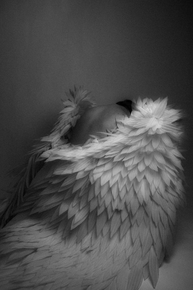 Photograph by Димитрий Фефелов