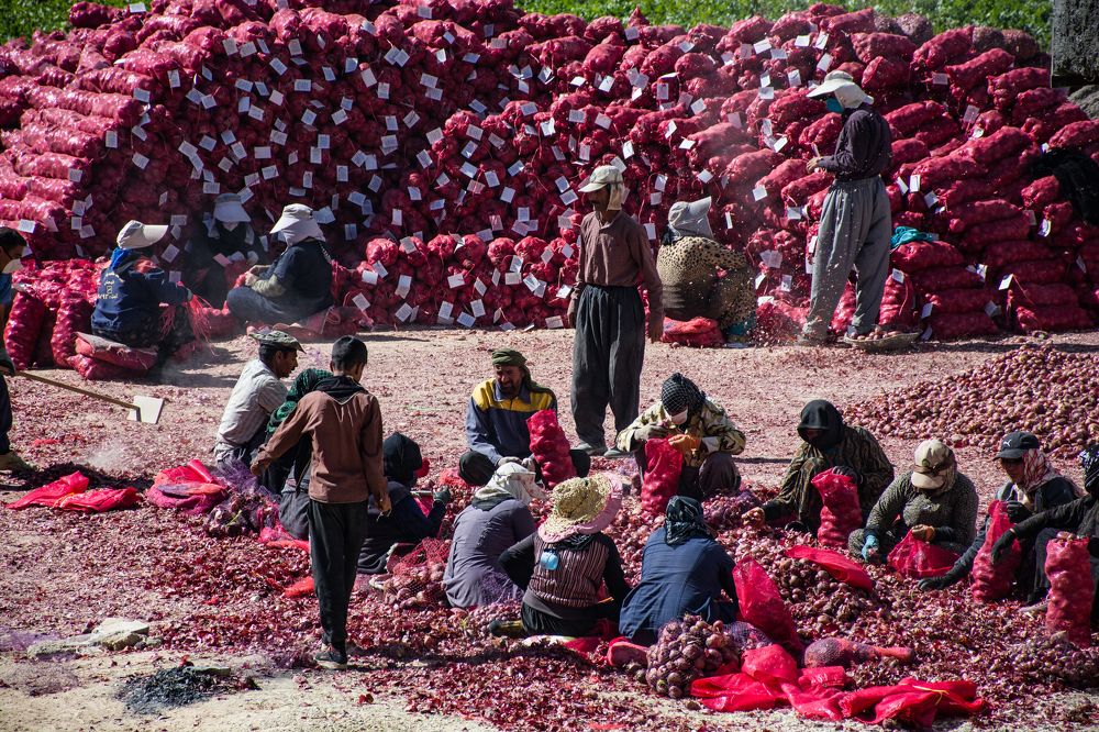 Photograph by امید امیدی