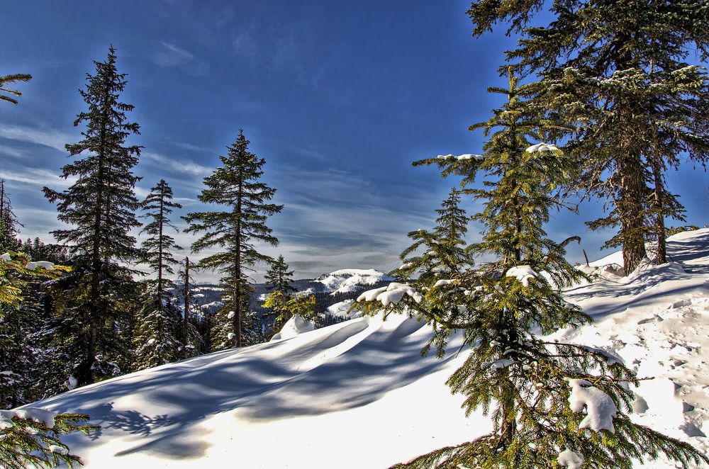 Photograph by Даниил Марков