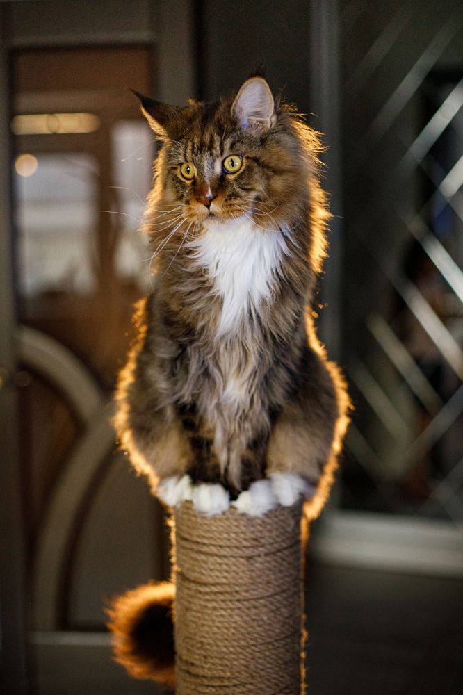 Photograph by Александра Алексеенко