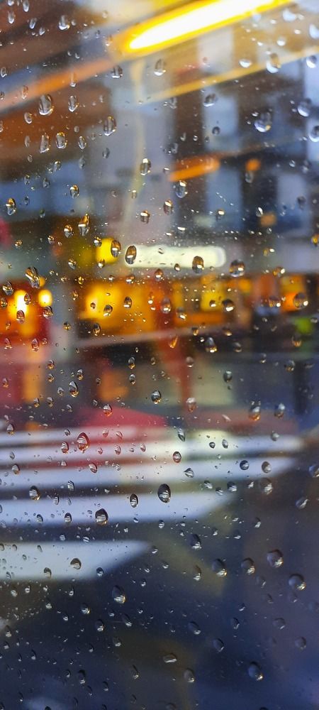 Photograph by amin karimi