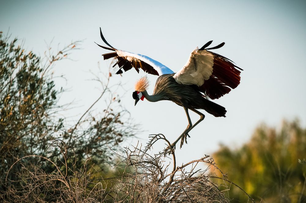 Photograph by Sanja Ristivojevic