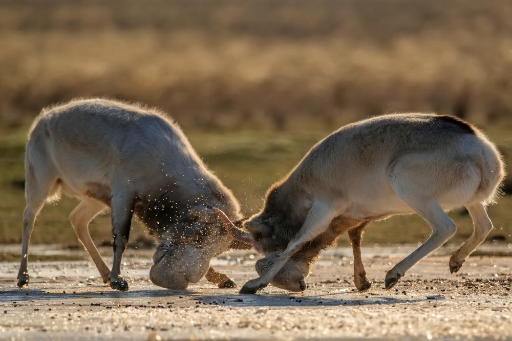 Фотография автора Яков Осканов