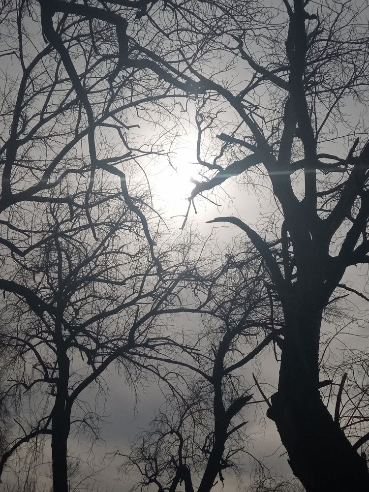 Photograph by Tammy Wiser