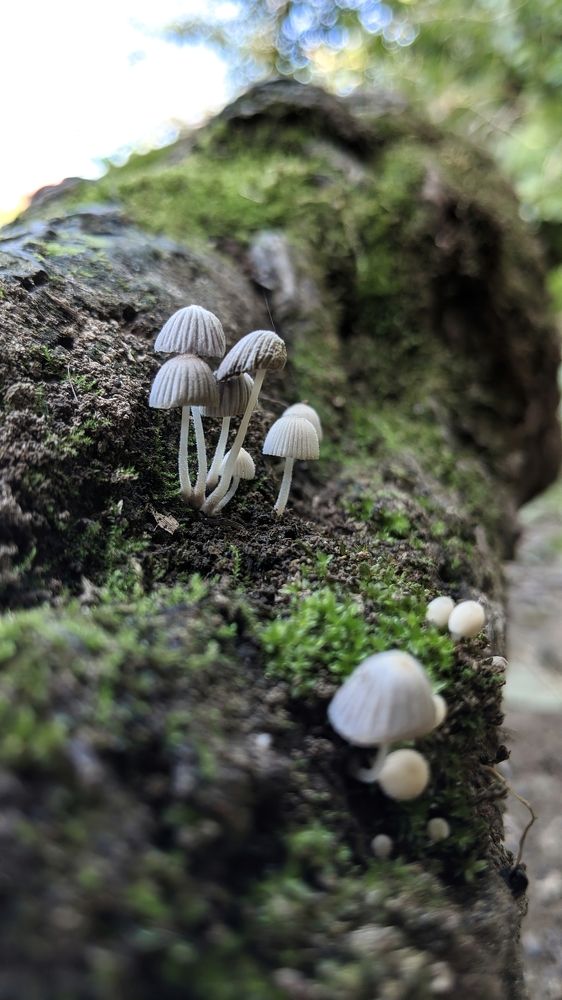 Photograph by Вероника Колбасова