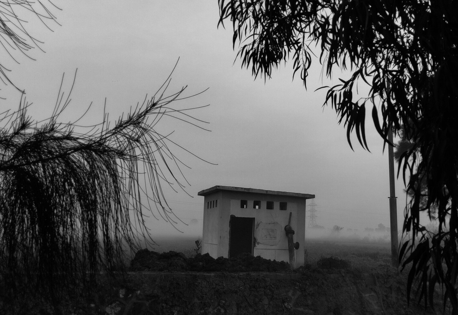 Photo #8901483