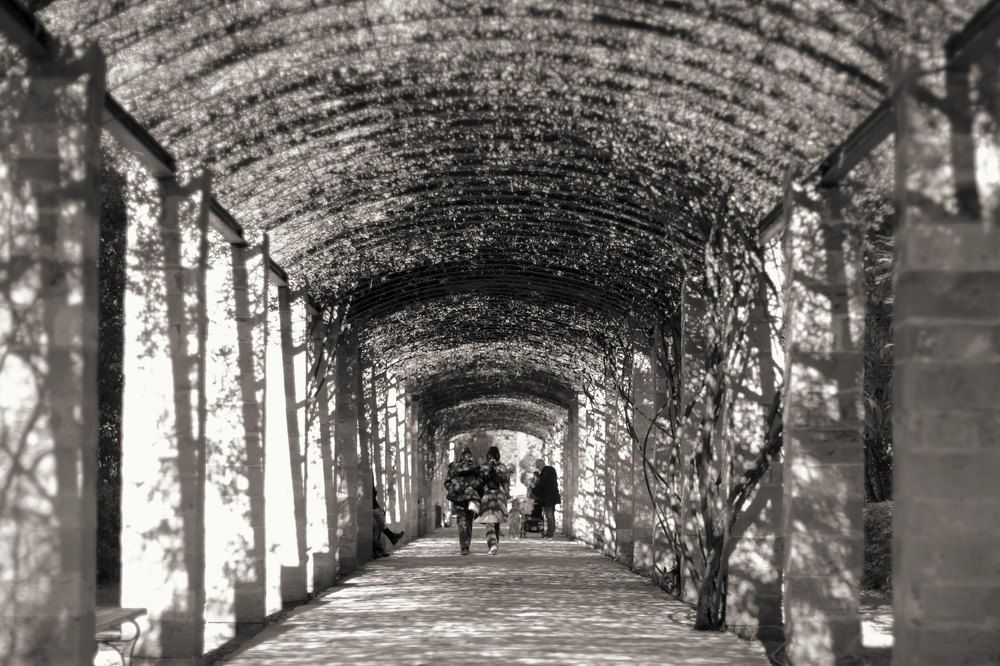 Photograph by Mpousmpoura Kondylenia