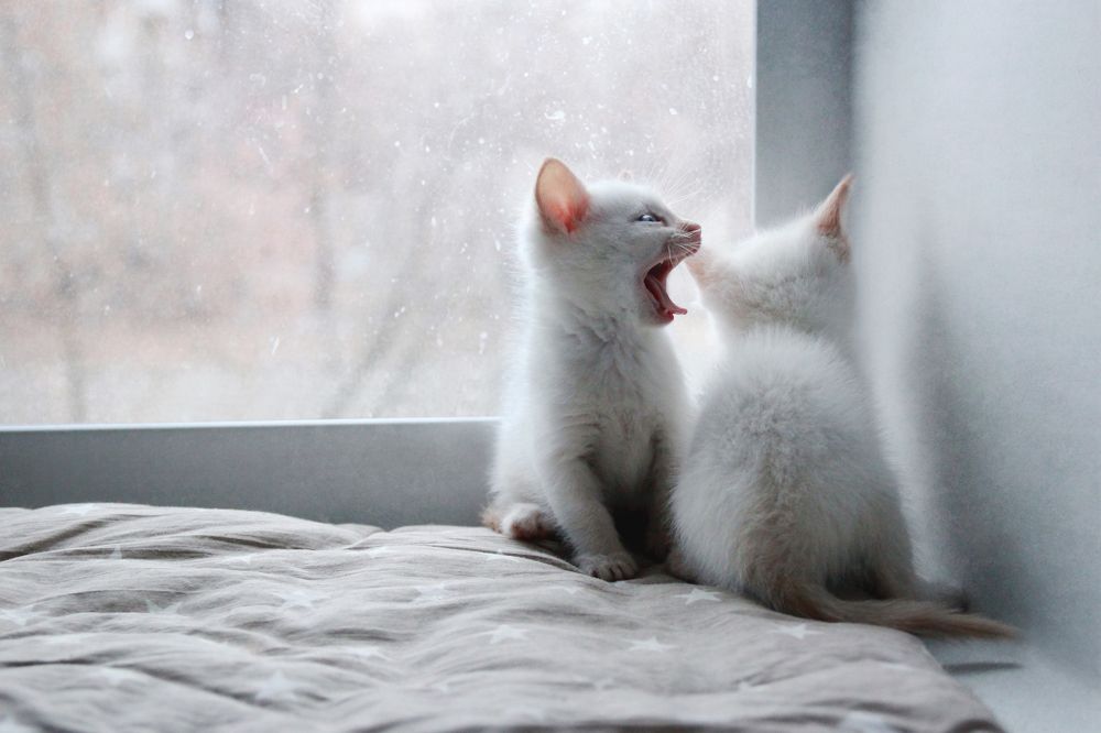 Photograph by Ольга Кочнева