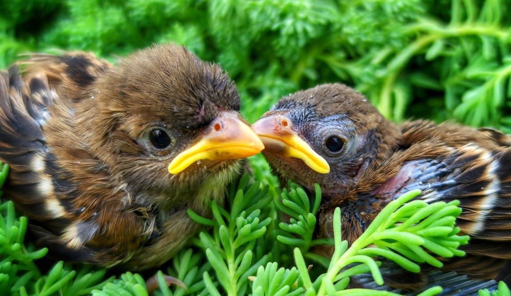Photograph by Дмитрий Леонтенко