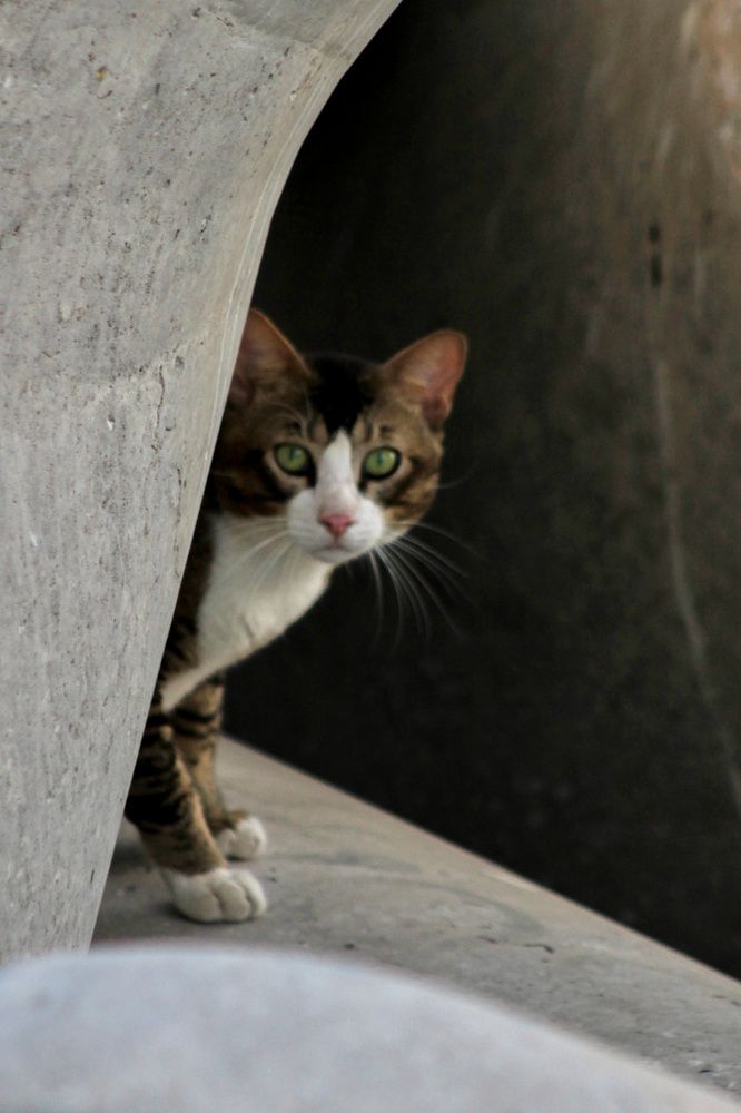 Photograph by Waleed Yousuf Alwahaibi