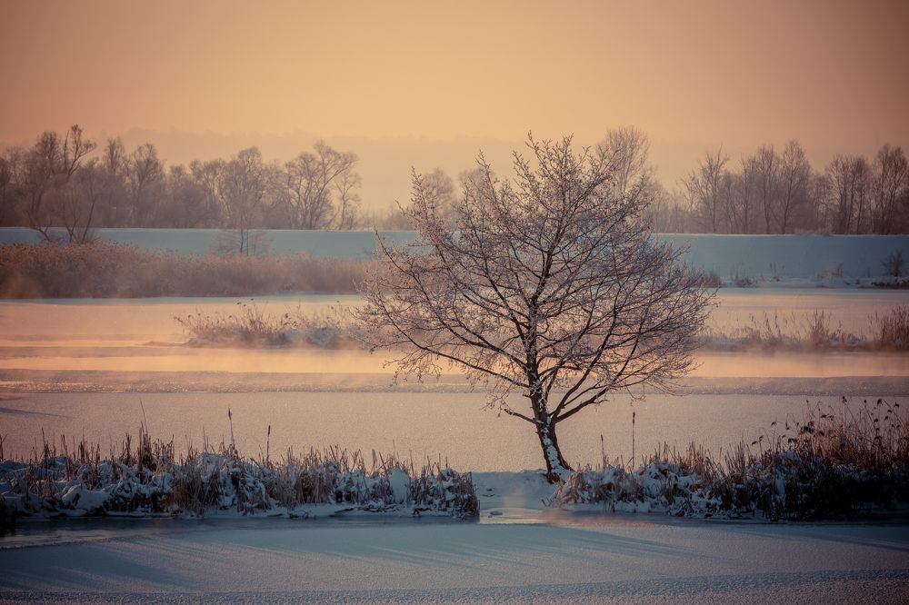 Фотография автора COMSA BOGDAN