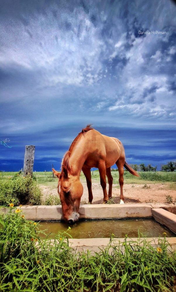 Photo #8901658