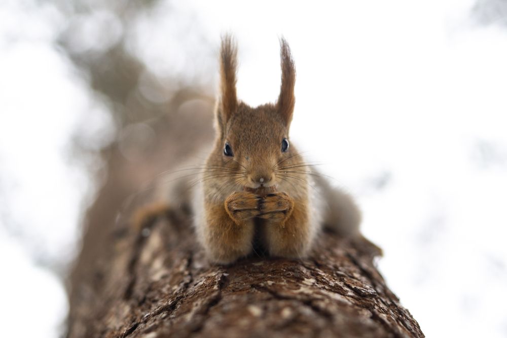 Фотография автора Сергей Затямин
