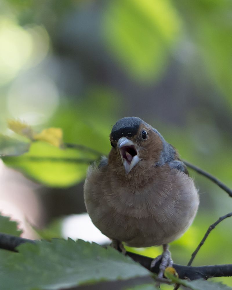 Фотография автора Сергей Затямин