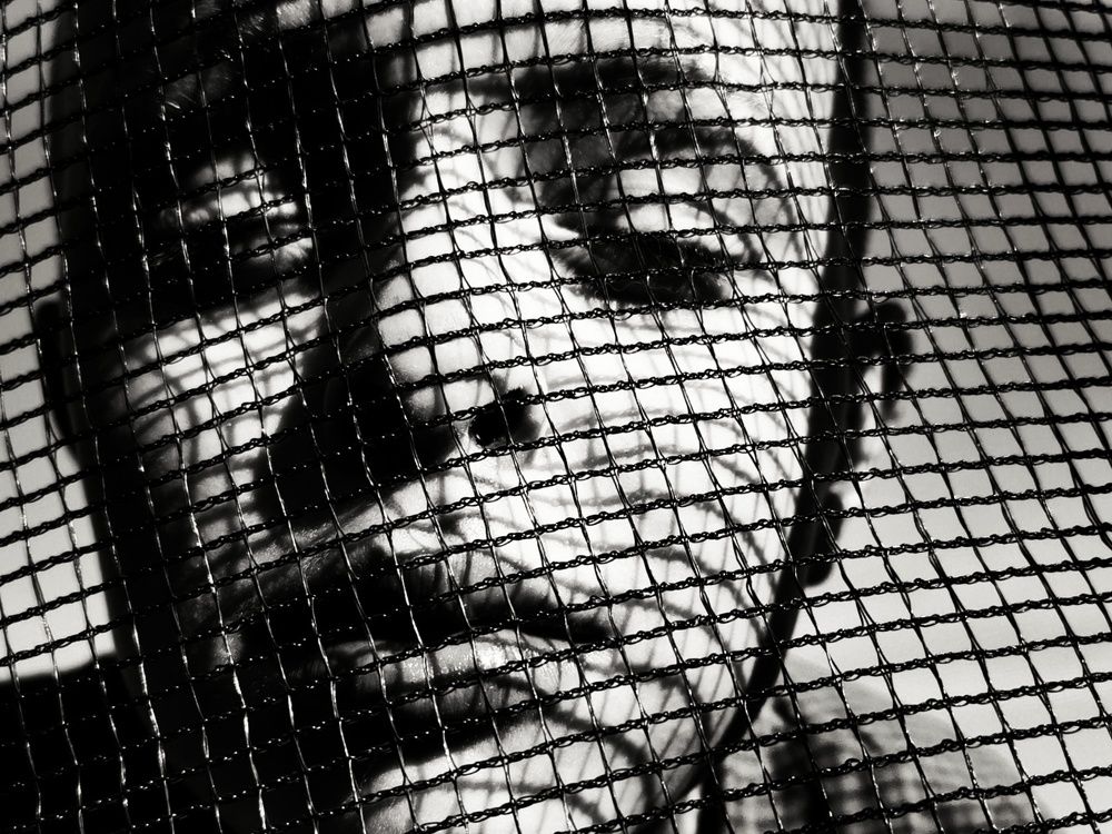 Photograph by Любовь Тарасюк