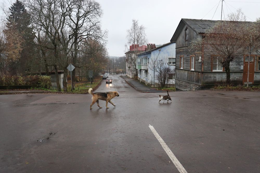 На улочке в Сортавала
