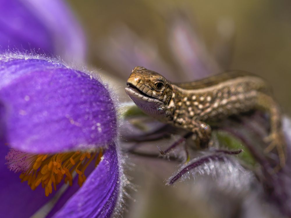 С добрым утром