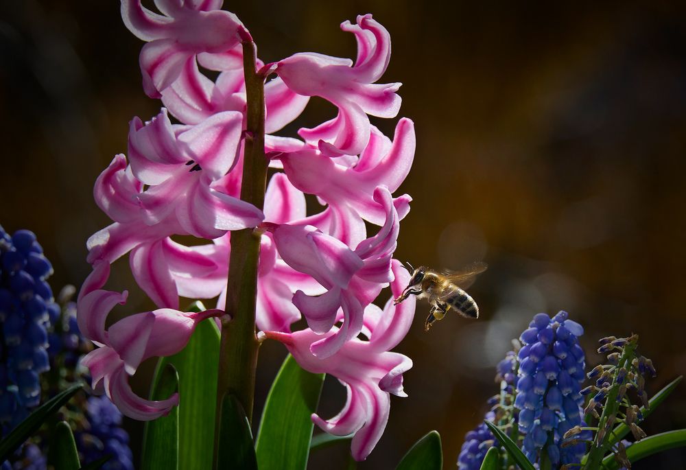 Photograph by Mark Pouzemski