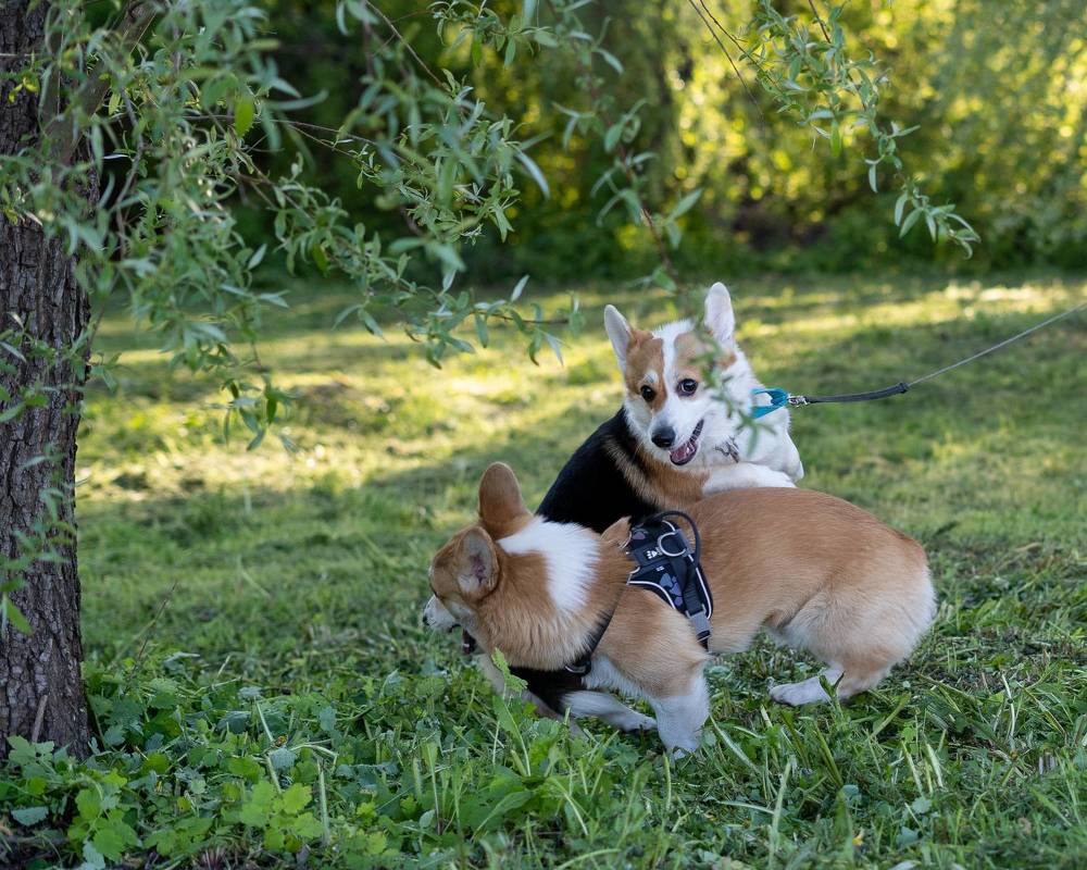 Photograph by Сурков Владимир