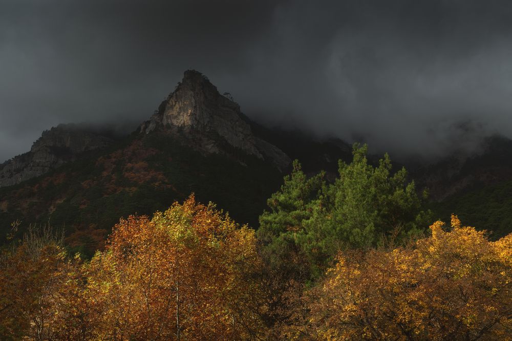 Photograph by Oleg Feofanov