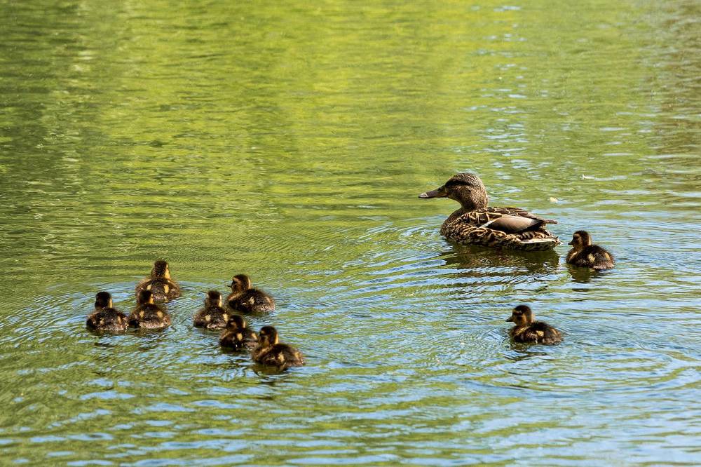 Photograph by Сурков Владимир