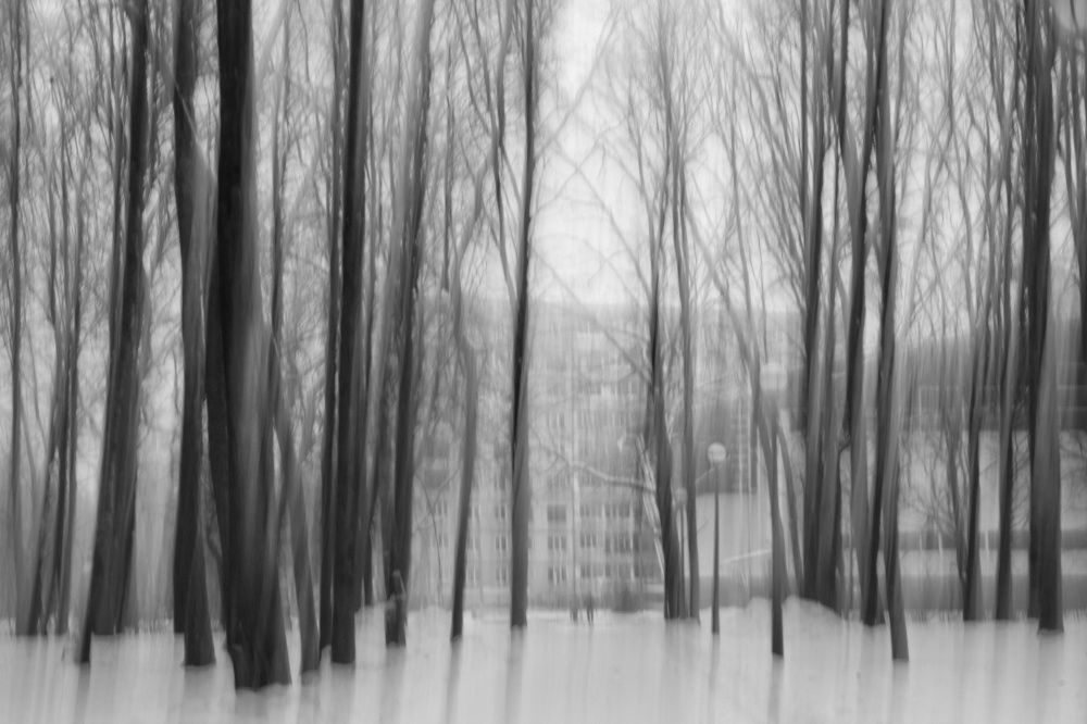 Снилось мне...