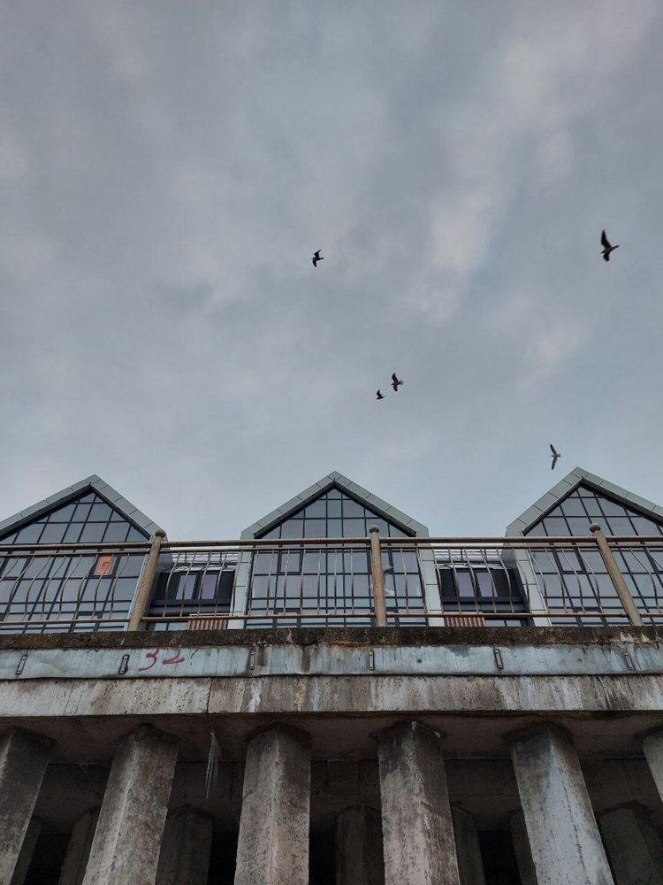 Photograph by Ольга Салюкова