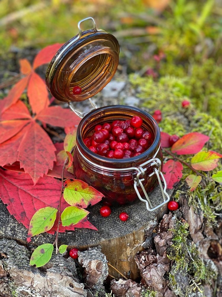 Photograph by Marina Svjatenko