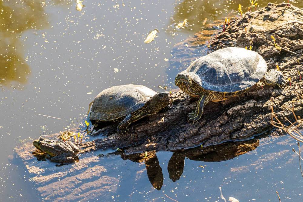 Photograph by Сурков Владимир