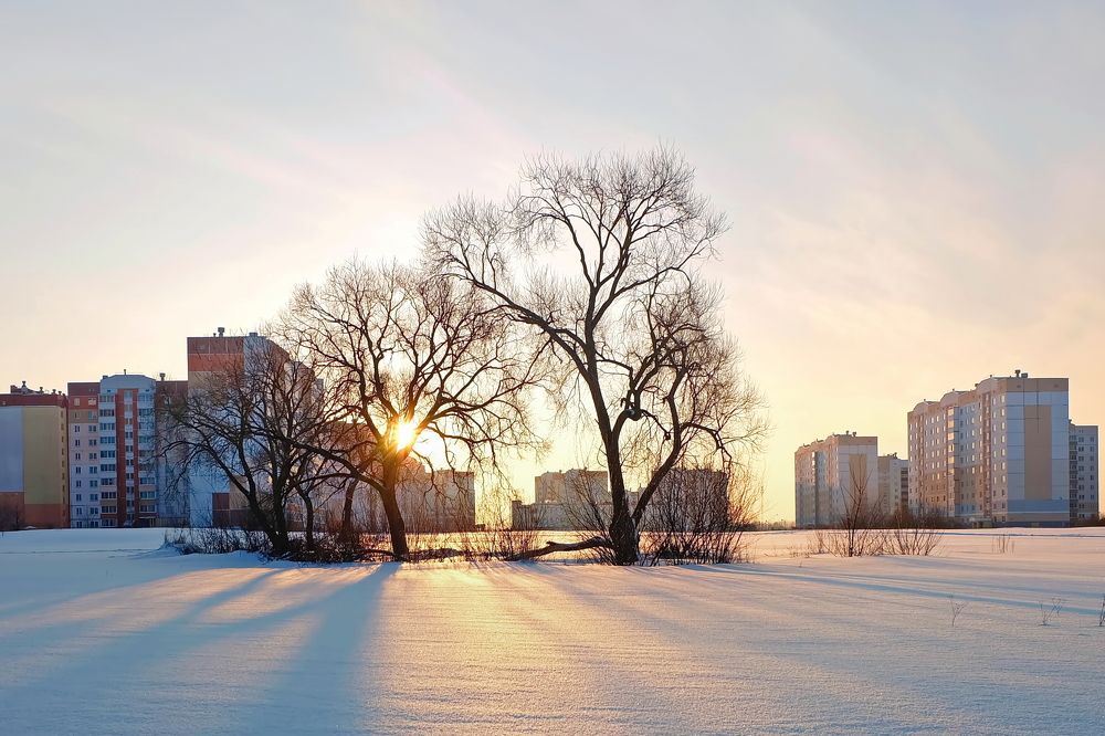 Пробуждение
