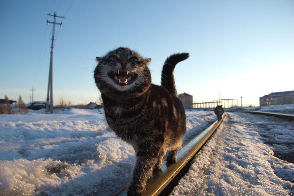 Photograph by Денис