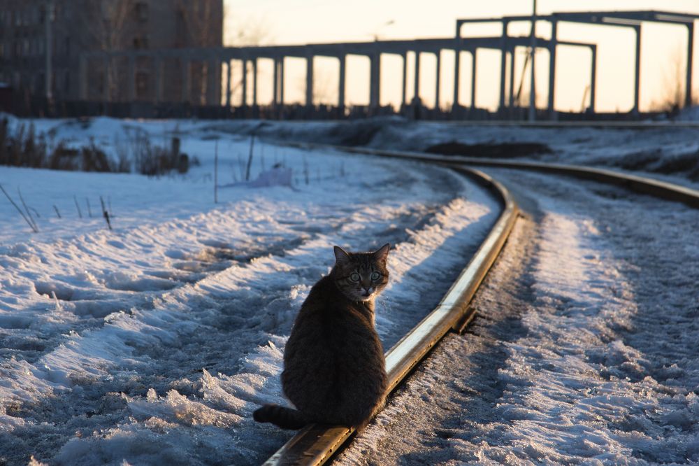 Photograph by Денис