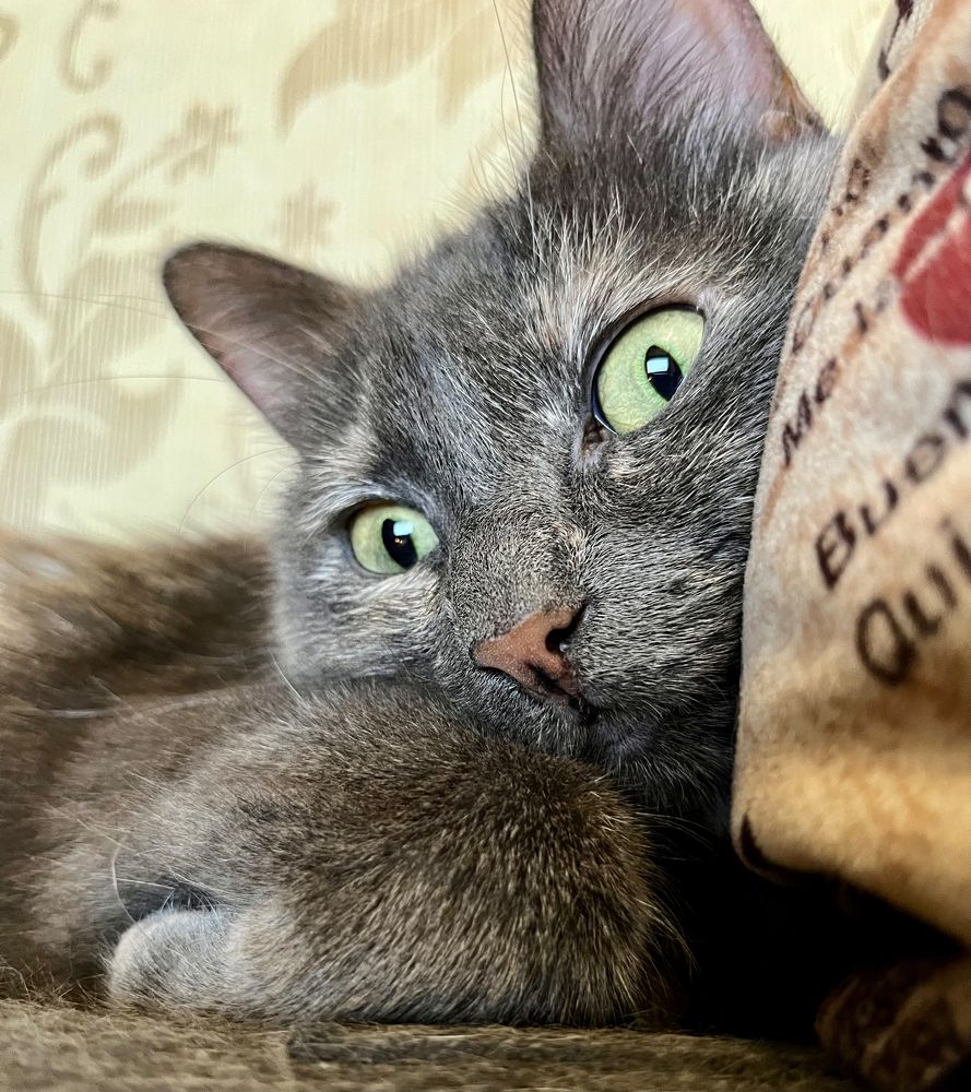 Photograph by Анна Федотова