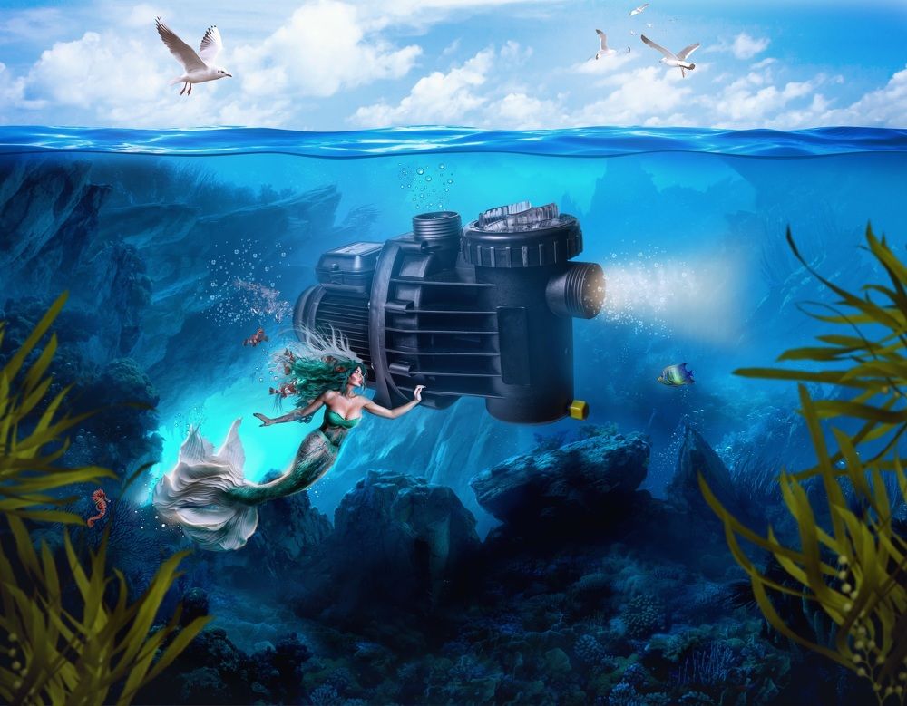 Photograph by Юлия Ляхова