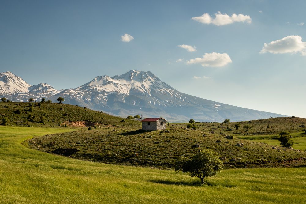 Photograph by Аркадий Старочкин