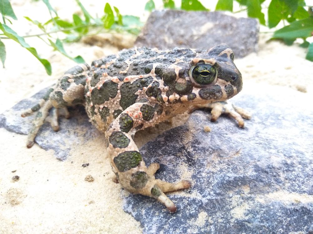 Photo #8902136