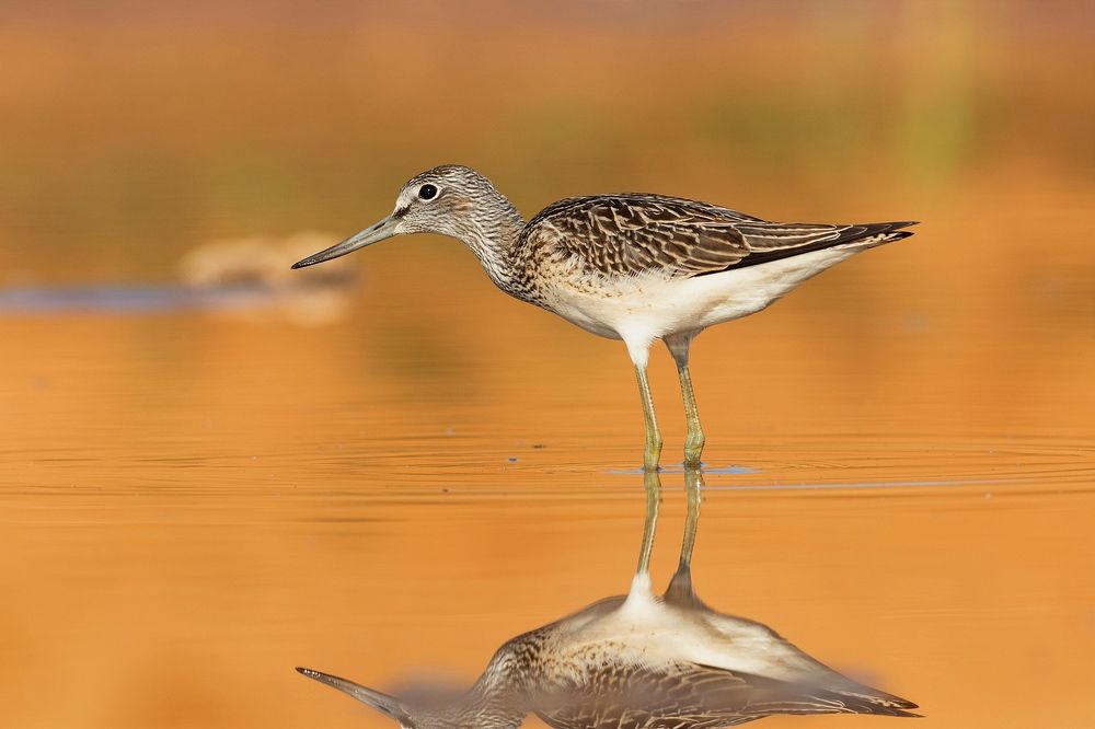 Photograph by Павел Краснослободцев