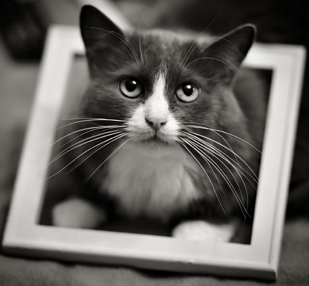 Photograph by Елена