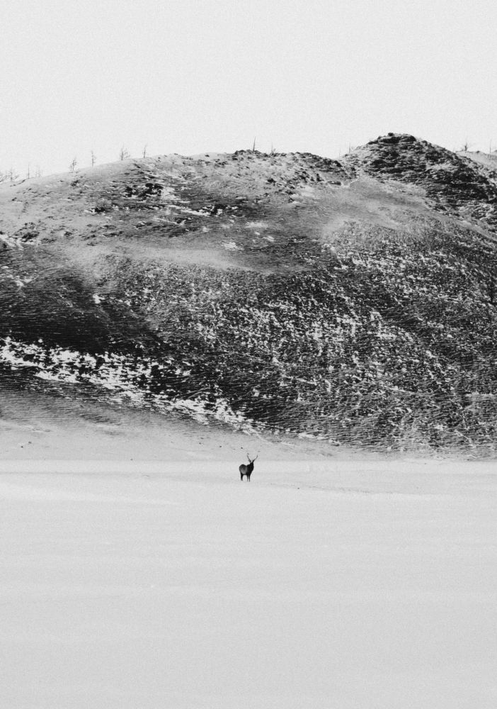 Photograph by Александр Наракшин