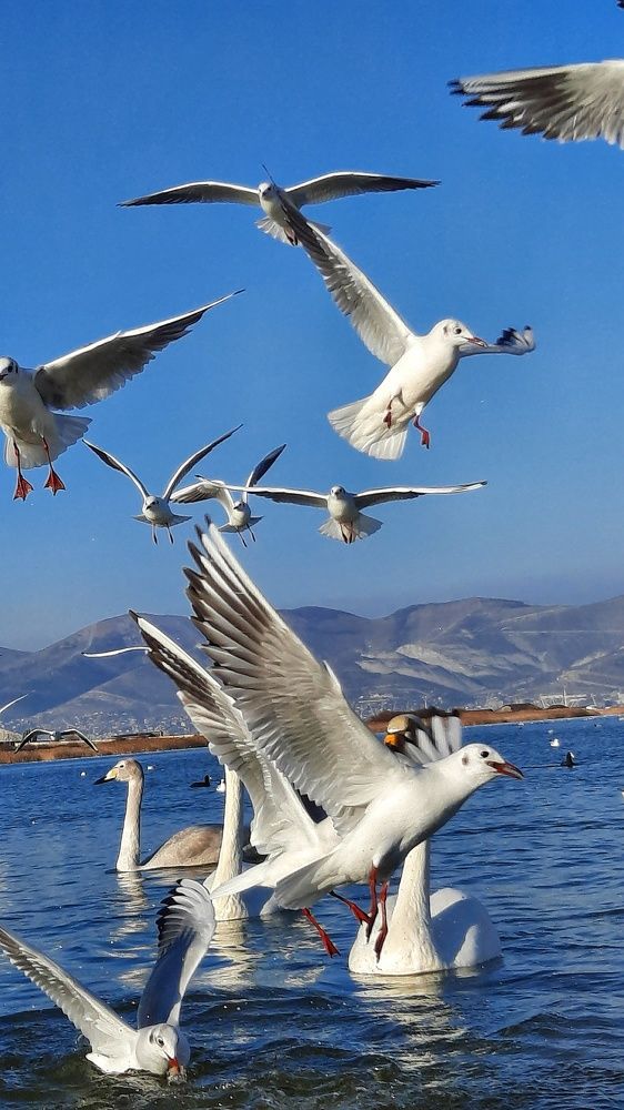 Photograph by Татьяна Григорчук