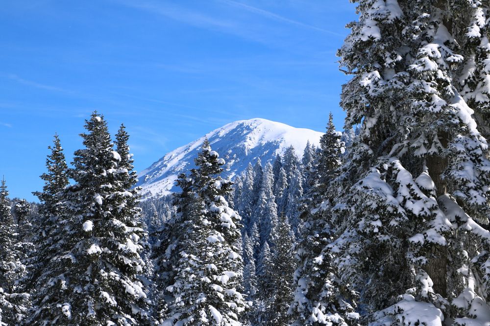 Photograph by Cengiz Yalcin