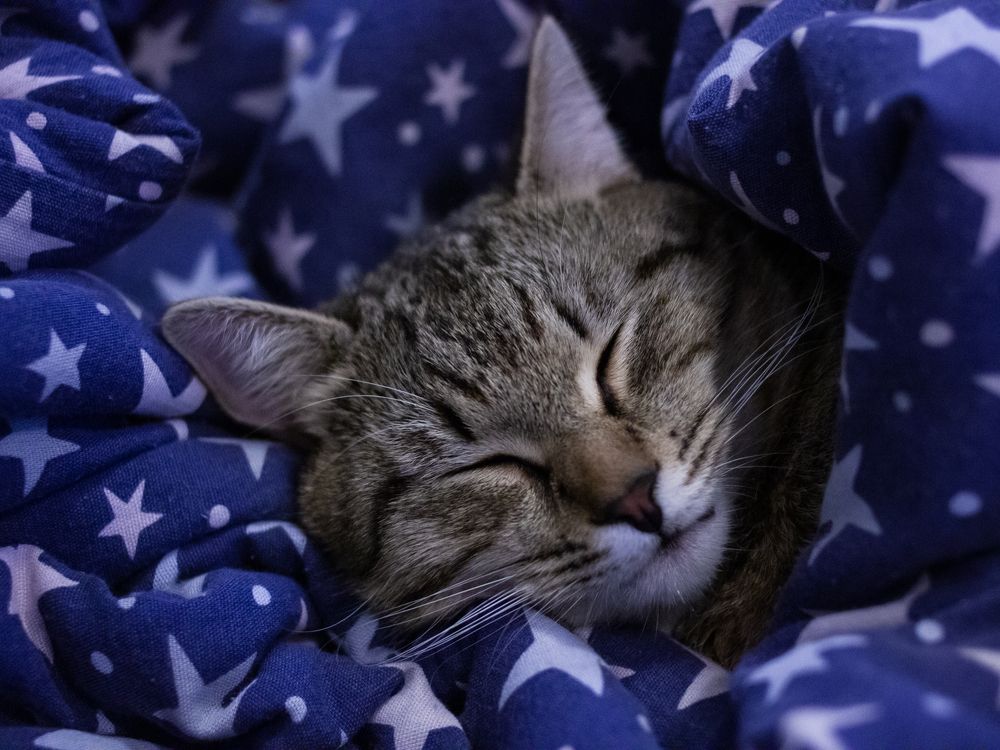 Photograph by z14photo