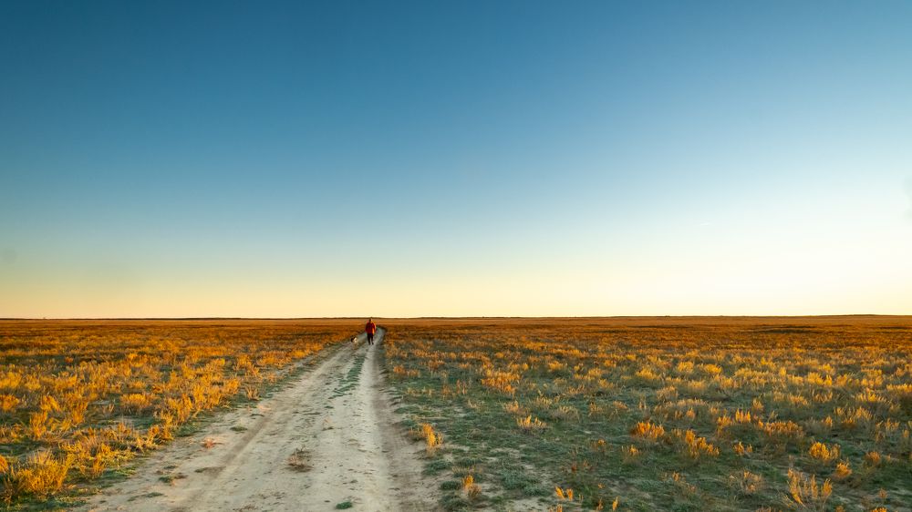 Калмыцкие степи