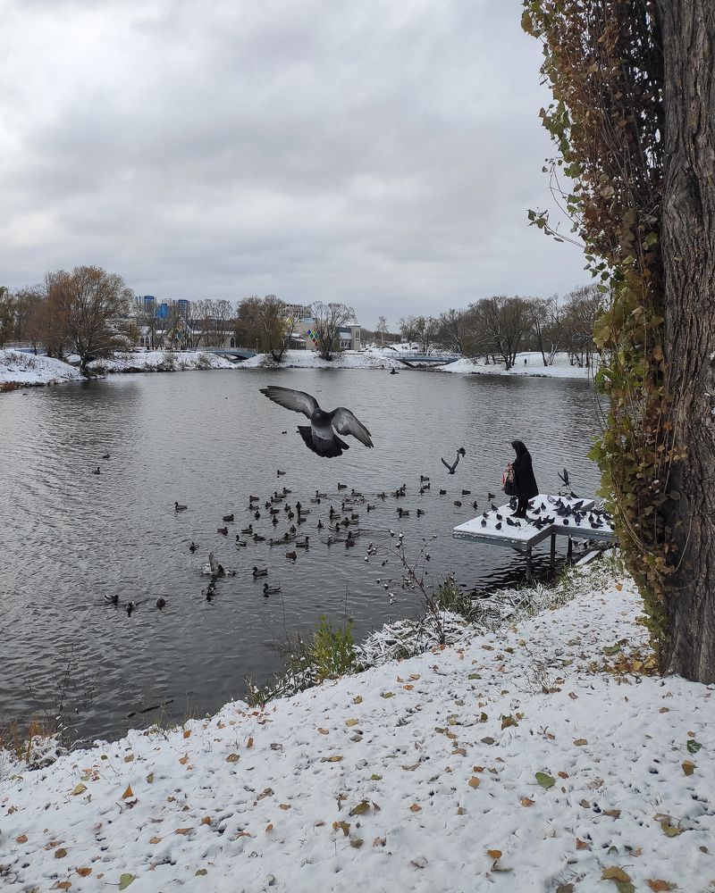 Photograph by Сурков Владимир