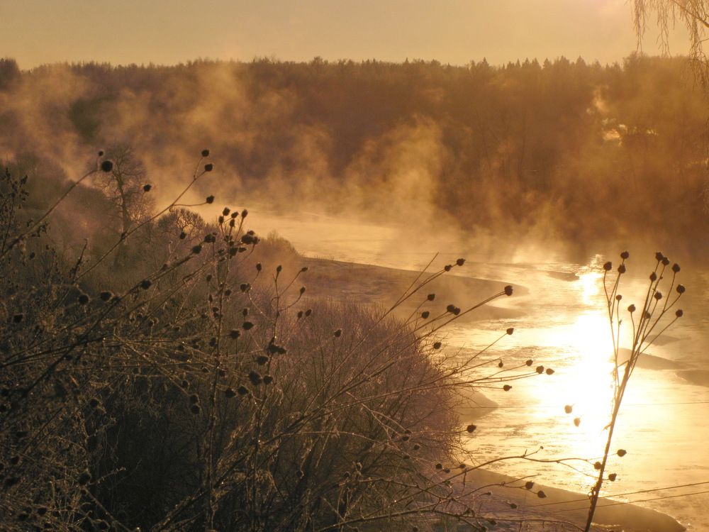 На высоком берегу