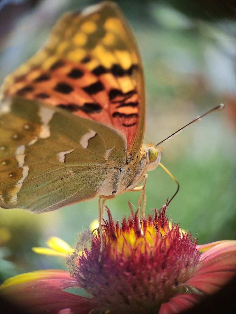Photograph by Дина Горбачёва