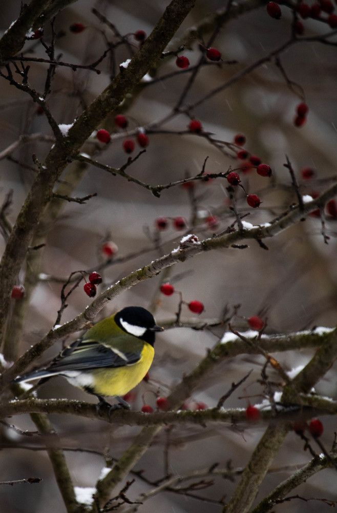 Photograph by Максим Миллер